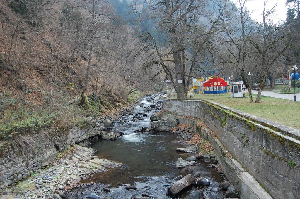 Apartment Erekle Borjomi Exterior photo